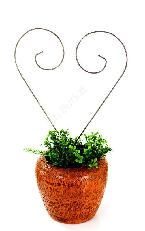 Украшение сада 1454