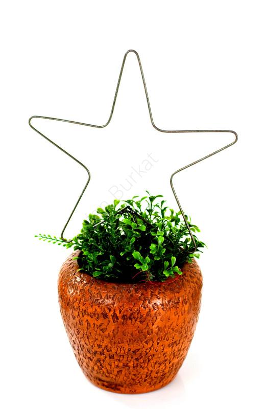 Украшение сада 1457