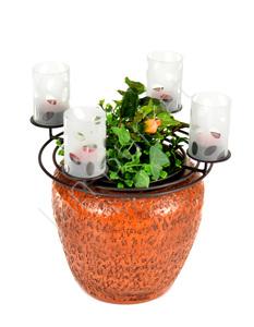 Украшение сада 5952